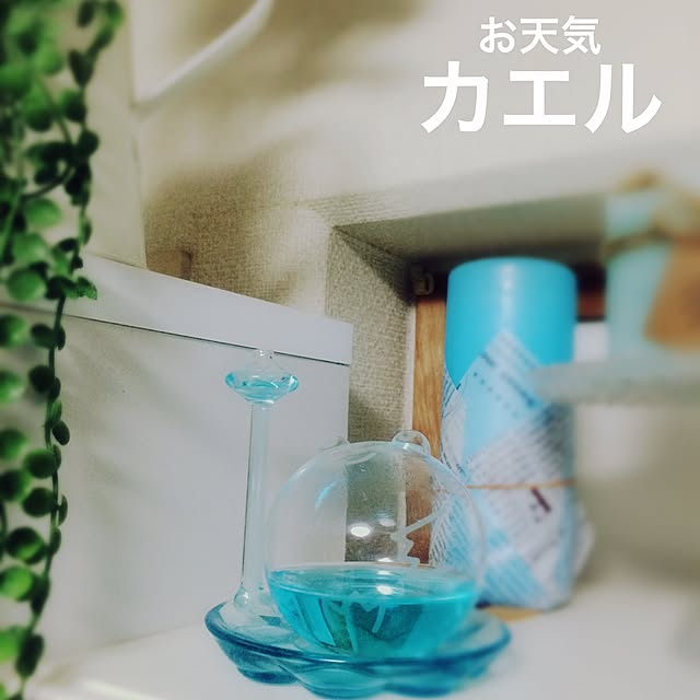 boshさんの実例写真