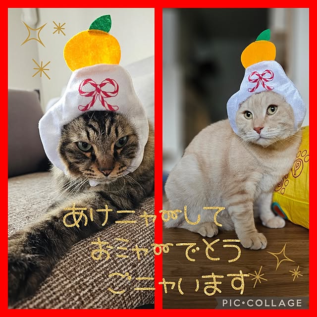 makoさんの実例写真