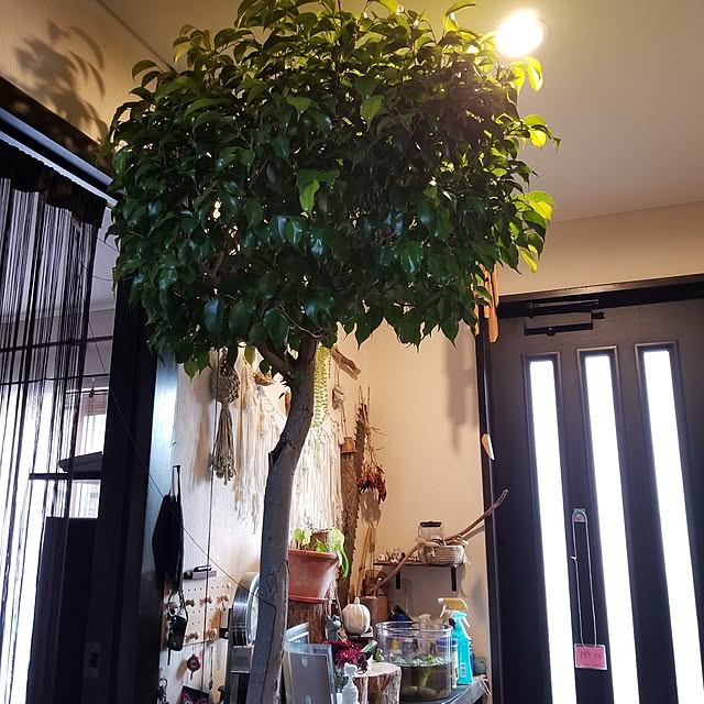 midoriさんの部屋