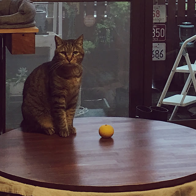 Miechamさんの実例写真