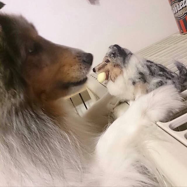 mako0301さんの実例写真