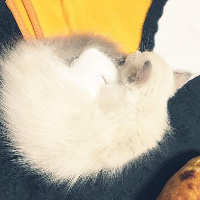 rbesfさんの実例写真