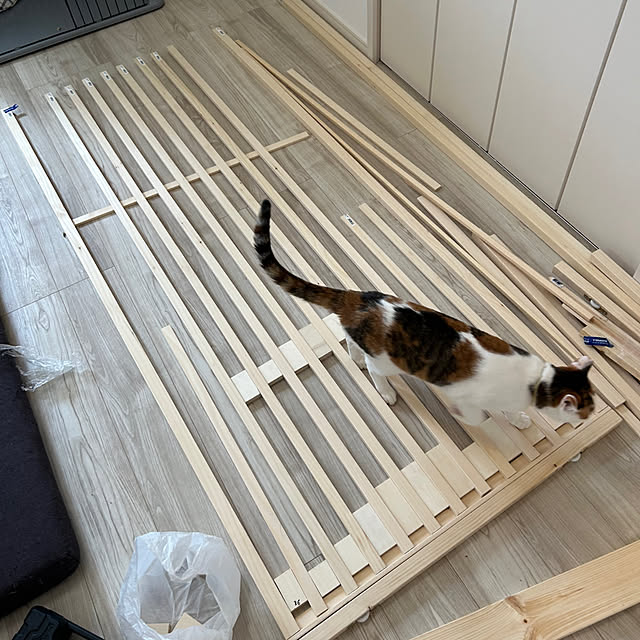 de_eeenさんの部屋
