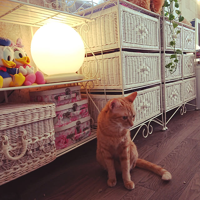 asuminさんの実例写真