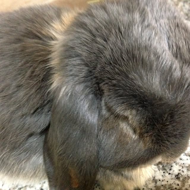 kimikoさんの実例写真