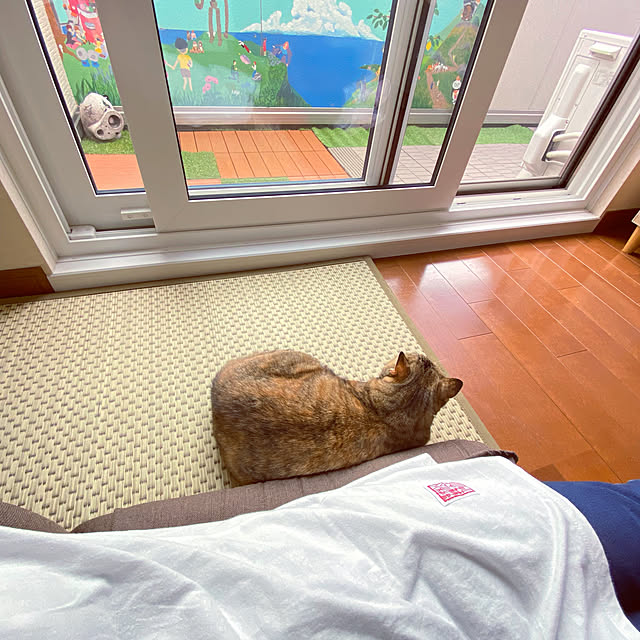 hansho.sさんの実例写真