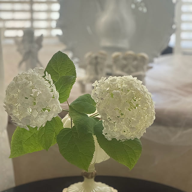 cocoさんの部屋