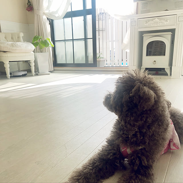 noelさんの実例写真