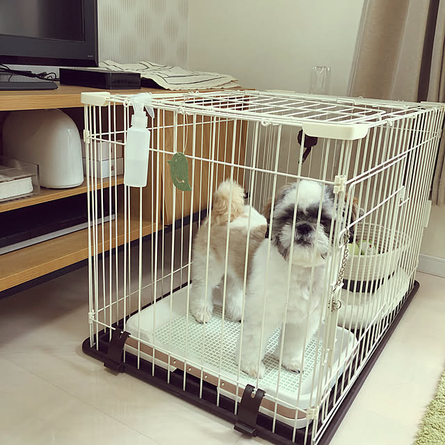 mana15さんの実例写真