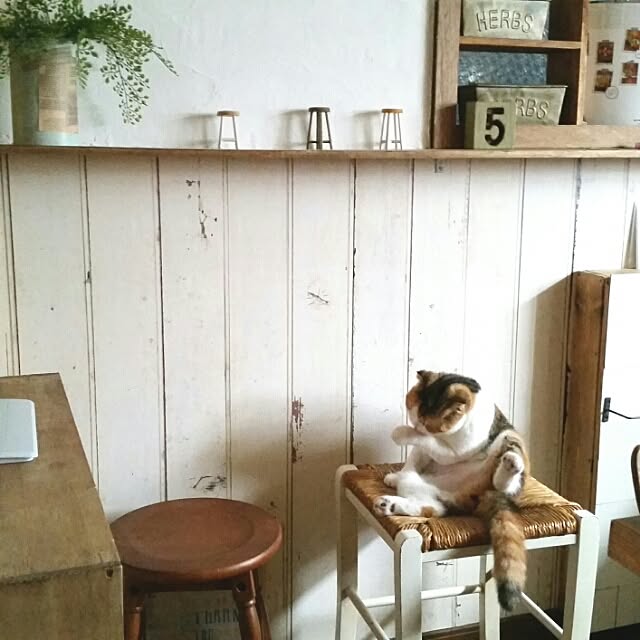 mikiさんの実例写真