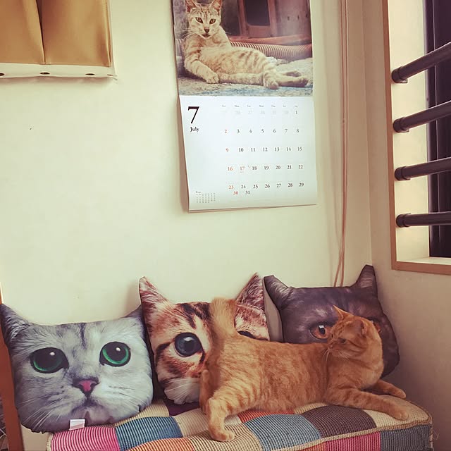 実例写真
