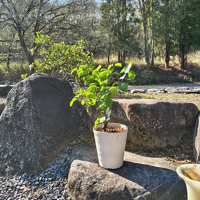 Rubiconさんの部屋