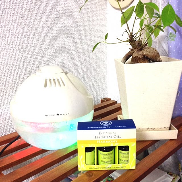 実例写真