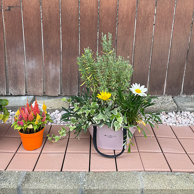 hameさんの部屋