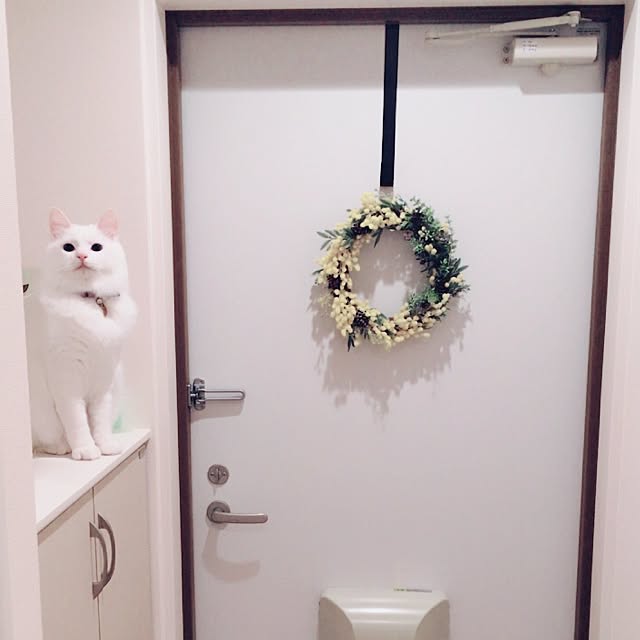 miSaさんの実例写真