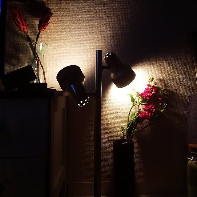 Ikumuさんの実例写真