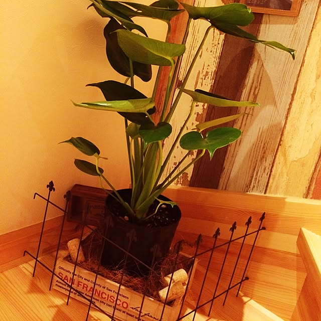 実例写真