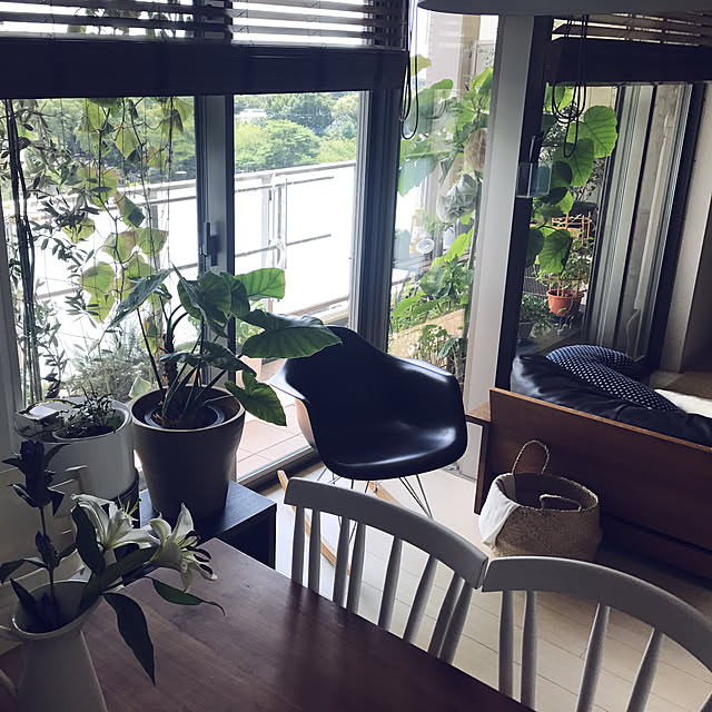tacaco01180919さんの実例写真