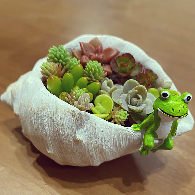okapiさんの実例写真