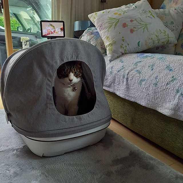 civicglさんの実例写真