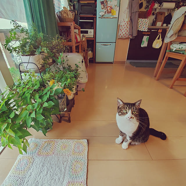 Umeko.さんの実例写真