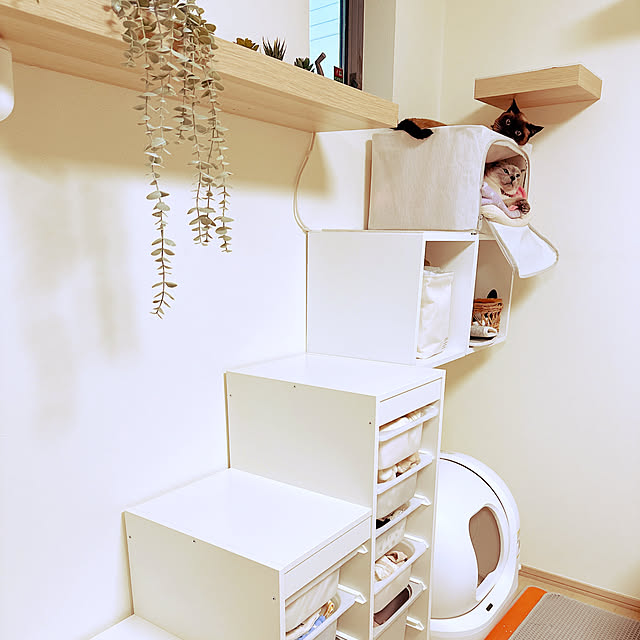 aichinさんの部屋