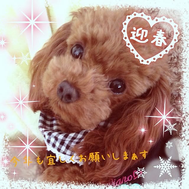 cocoさんの実例写真