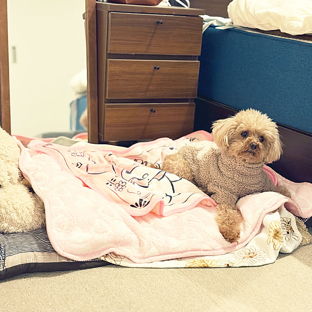 otsutaudonkoさんの実例写真