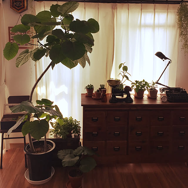 tama0330さんの実例写真
