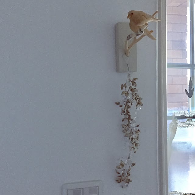pariさんの実例写真