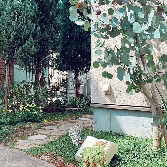 kazuさんの実例写真
