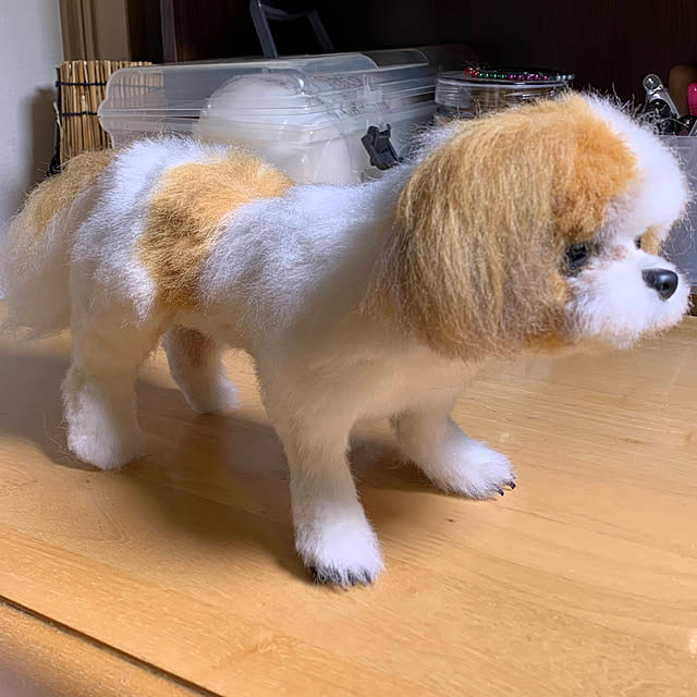 toytoypoohさんの実例写真