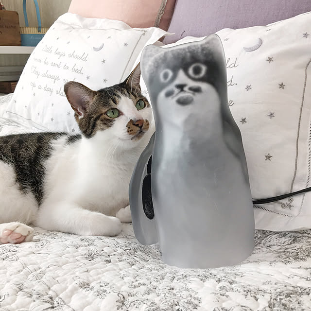 yuchiさんの実例写真