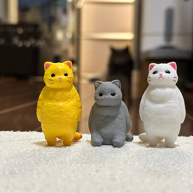 kittyさんの実例写真