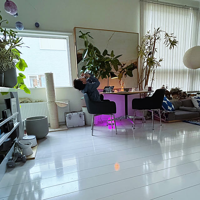 nonononakaさんの実例写真
