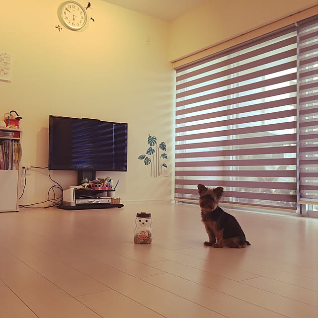 osj23さんの実例写真
