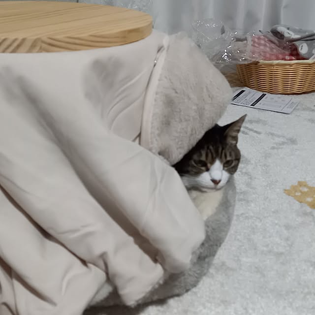 civicglさんの部屋