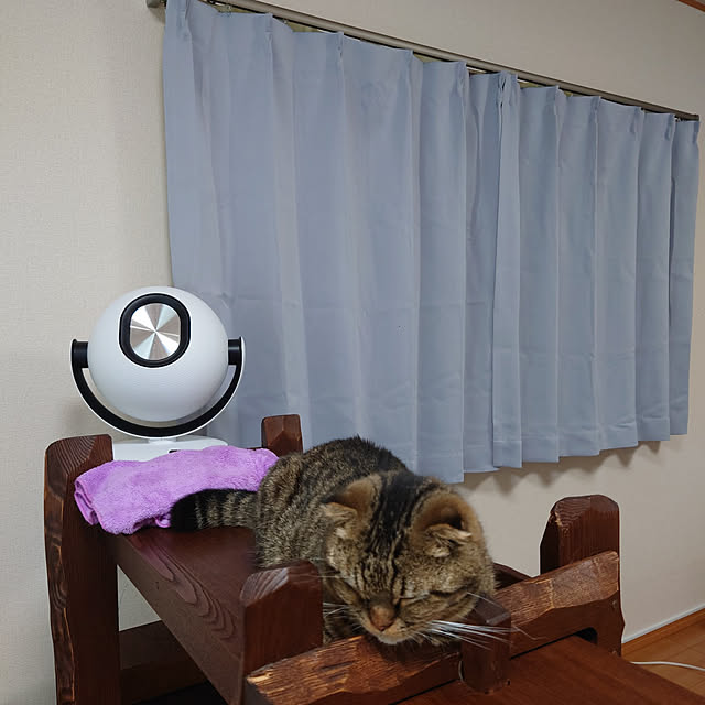 noguriさんの実例写真