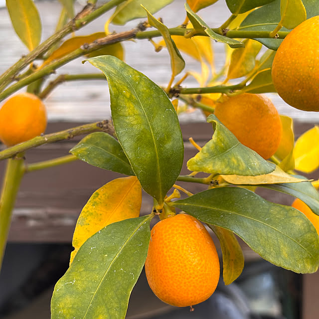 madeleineさんの部屋