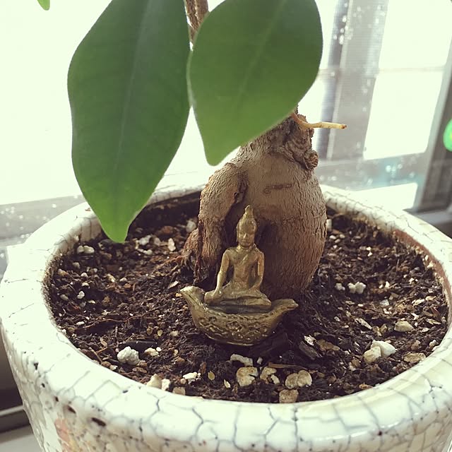 t_harada81さんの実例写真
