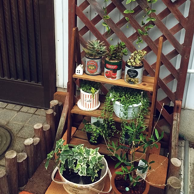 chibissyuさんの実例写真
