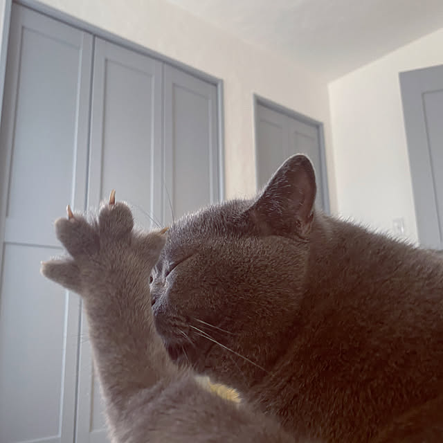 kimikaさんの実例写真