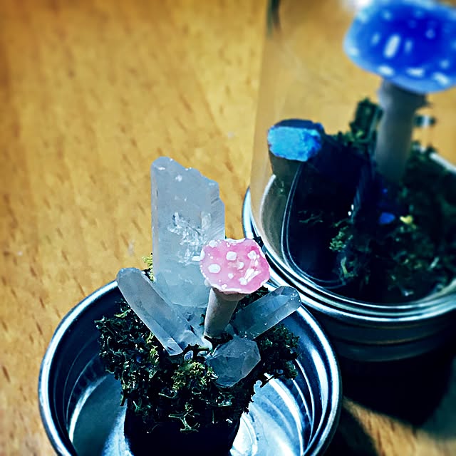 ramuchop3000さんの実例写真