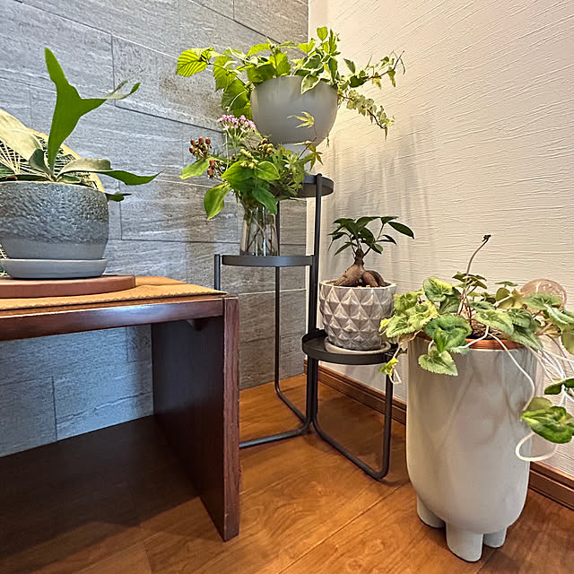 asahibaさんの部屋