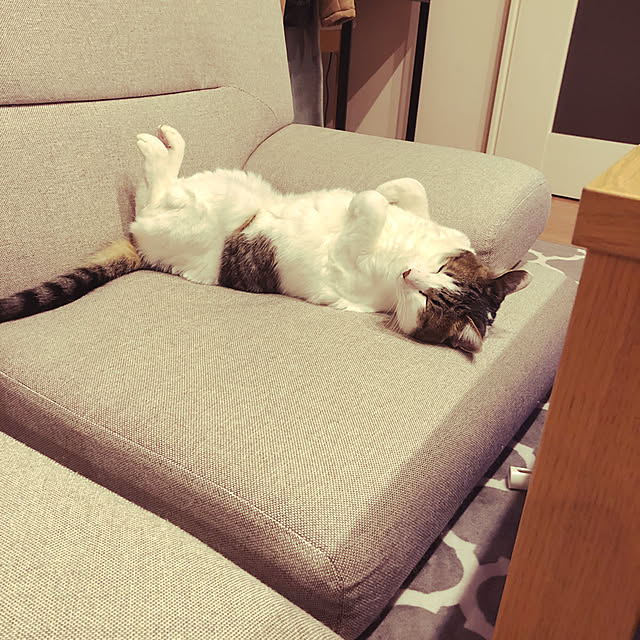 nitsukoさんの実例写真
