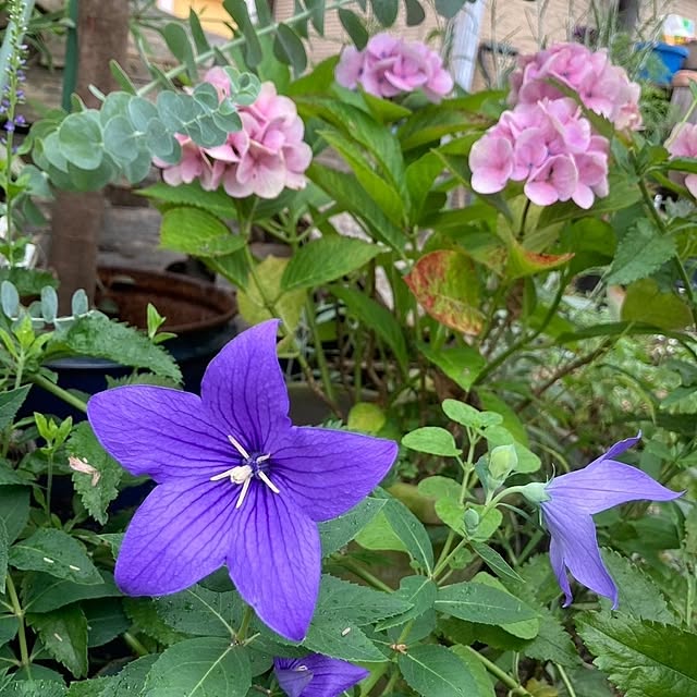 min_nimさんの実例写真