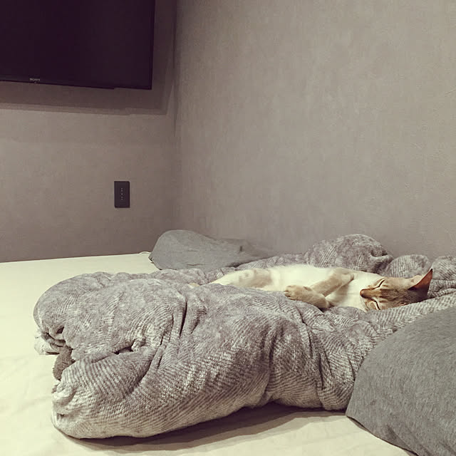 Miinicoさんの実例写真