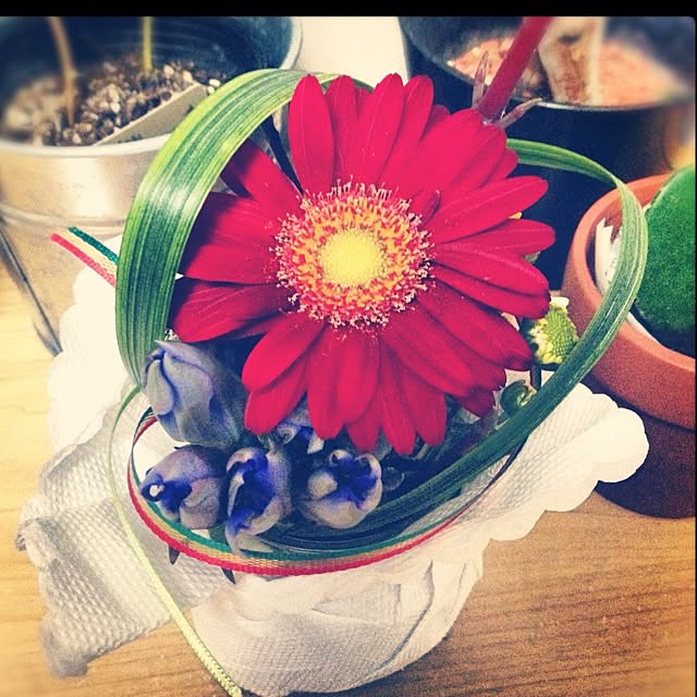 misaさんの実例写真