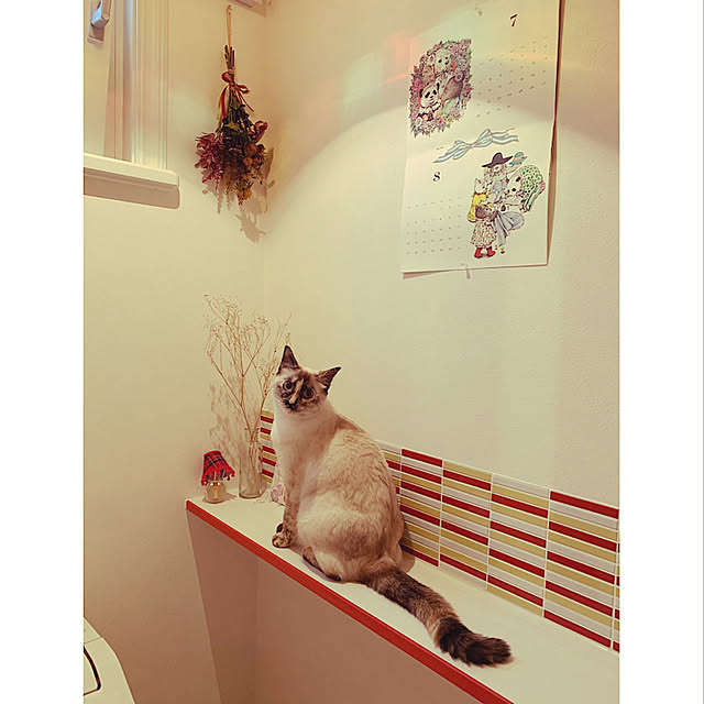 miyaさんの実例写真