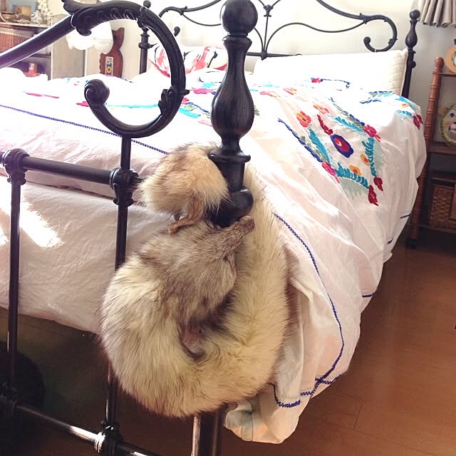 mojyaさんの実例写真